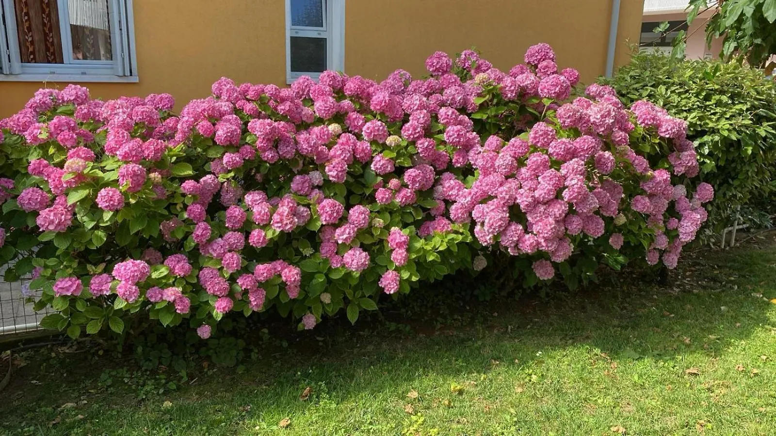Residenza Viel Apartment Bibione Italy